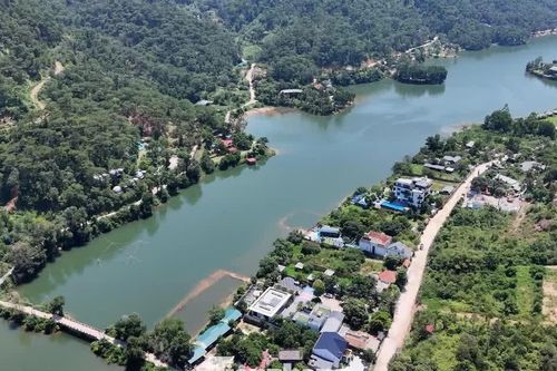 Hà Nội xin ý kiến điều chỉnh diện tích hơn 7.000ha khỏi quy hoạch rừng, đất lâm nghiệp