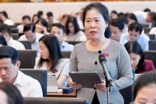 ĐBQH đề xuất cơ chế gỡ điểm nghẽn cho điện gió ngoài khơi