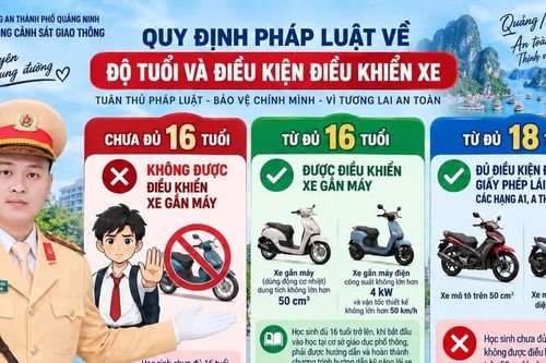 Đừng nhầm xe đạp điện với xe máy điện khi mua xe cho con