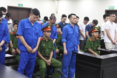 Nhận 140.000 USD chạy án cho công ty sữa giả, cựu công an lĩnh 12 năm tù