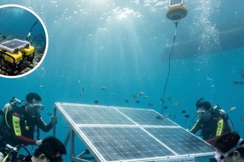 Pin mặt trời phát điện ở độ sâu 10m dưới biển, hiệu suất gấp đôi trên cạn