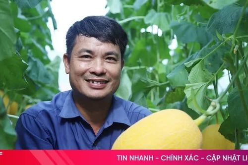 Hà Tĩnh 'nâng chất' nông thôn mới từ bộ tiêu chí giai đoạn 2026 - 2030