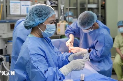 Ghép tế bào gốc từ người hiến 18 tháng tuổi cứu bệnh nhi suy tủy xương vô căn