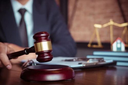Hình thành đội ngũ luật sư công trước ngày 15/10/2026