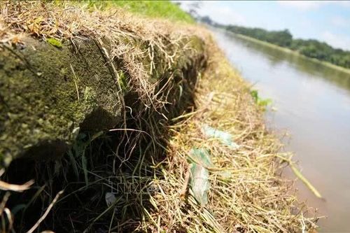 Hơn 90 tỷ đồng sửa chữa hệ thống kè quanh hồ Xuân Hương (Đà Lạt)
