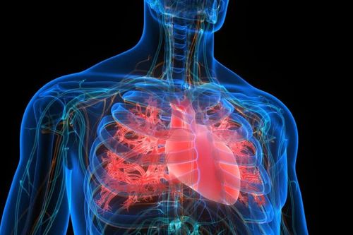Dấu hiệu cảnh báo biến cố tim mạch có thể xuất hiện trước nhiều năm