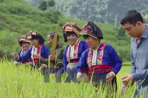 Tết Khẩu Hó mừng lúa mới vùng biên