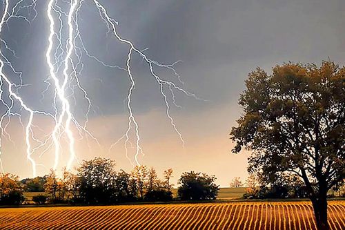 Đang đi đường, cô gái 33 tuổi bị sét đánh