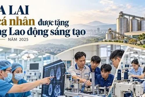 Gia Lai có 11 cá nhân được tặng Bằng Lao động sáng tạo năm 2025