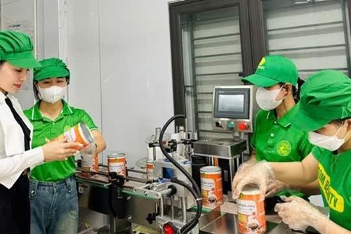 85,5% doanh nghiệp do nữ làm chủ chưa 'chạm' được vốn xanh
