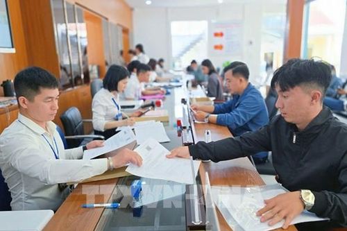 Gia Lai khẩn trương 'làm sạch' hơn 8.800 mã số thuế doanh nghiệp
