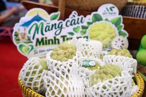 Hàng Việt nâng chuẩn từ tài nguyên bản địa