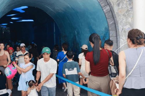 Du lịch tàu biển Khánh Hòa tăng tốc