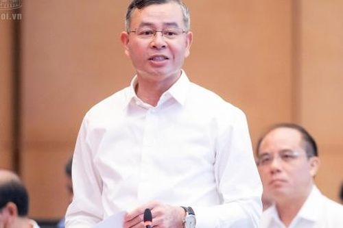 Đại biểu Quốc hội: Cho ý kiến về dự án Luật sửa đổi, bổ sung một số điều của Luật Kế toán, Luật Kiểm toán độc lập
