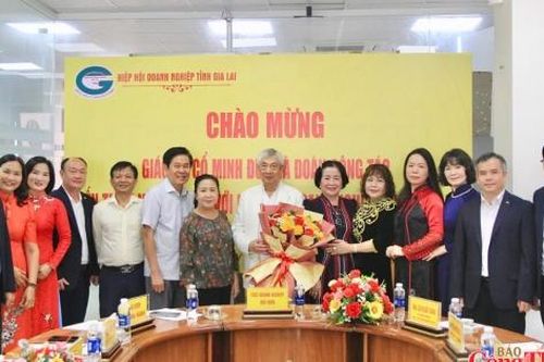 Gia Lai: Kết nối chuyên gia, doanh nghiệp mở rộng dư địa hợp tác quốc tế