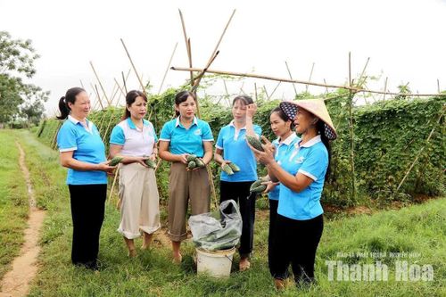 Liên kết thành viên để phát triển