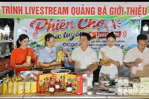 Tạo chuyển biến thực chất trong chuyển đổi số