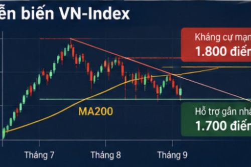 Chuyên gia: Dòng tiền lớn vẫn suy giảm, cần tập trung vào doanh nghiệp chất lượng thay vì chỉ số