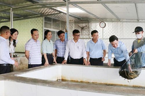 Bắc Ninh: Mở rộng liên kết, nâng giá trị nông sản