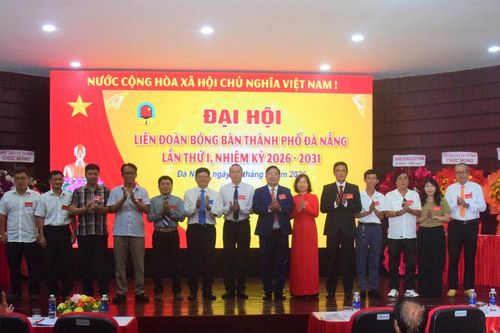 Dấu ấn Liên đoàn Bóng bàn Đà Nẵng