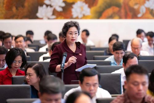 ĐBQH Lò Thị Luyến đề nghị hoàn thiện quy định về bảo vệ công trình trọng yếu và định danh điện tử