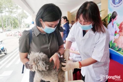 NGÀY THẾ GIỚI PHÒNG, CHỐNG BỆNH DẠI (28-9): Tiêm vaccine cho chó, mèo để ngăn ngừa bệnh dại