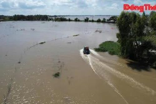 Đồng Tháp: Phòng, chống buôn lậu mùa nước nổi