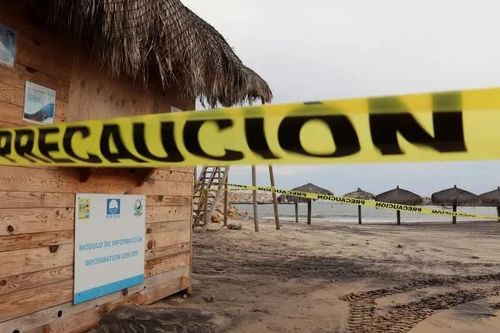 Bão Polo áp sát Mexico, Cabo San Lucas đóng cửa các bãi biển