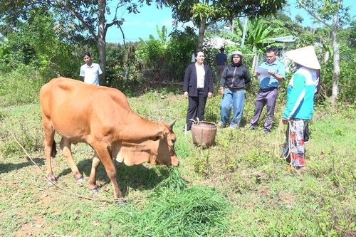 HĐND xã Đông Khánh Sơn khảo sát thực tế các mô hình sinh kế thuộc chương trình mục tiêu quốc gia