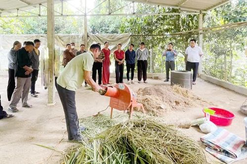 Tập huấn chăn nuôi lợn nái an toàn dịch bệnh dựa vào quản lý cộng đồng