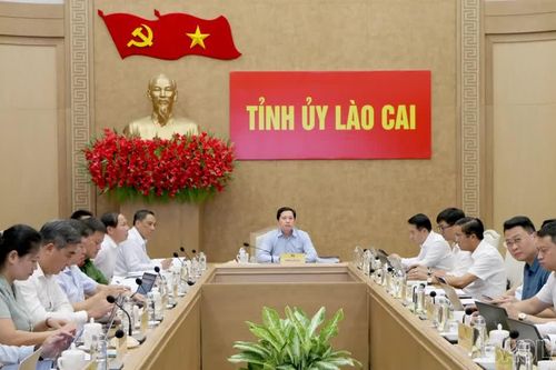Lào Cai quyết liệt triển khai các nhiệm vụ chuyển đổi số được Trung ương giao