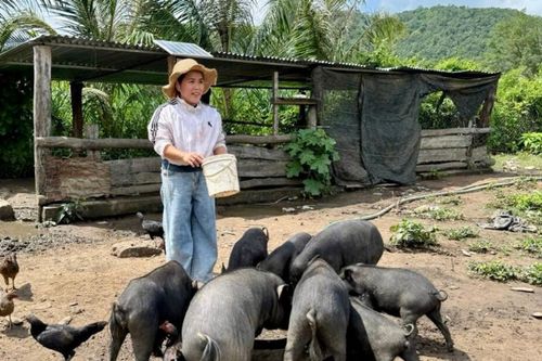 Từ đàn heo đen đến sinh kế cho phụ nữ