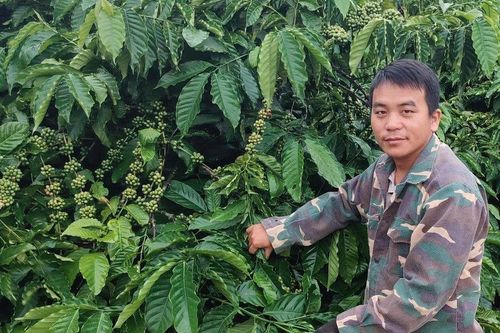 Chàng trai người Mông truyền cảm hứng cho bản làng