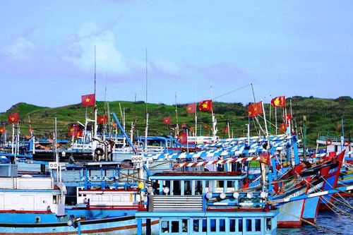 'Mắt thần' VMS trong cuộc chiến chống IUU ở Lâm Đồng
