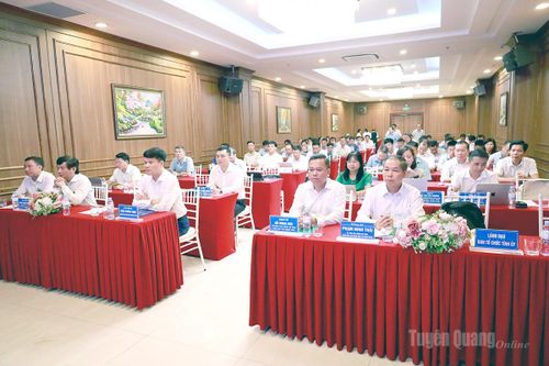 Bồi dưỡng năng lực số cho cán bộ, công chức, viên chức Tuyên Quang