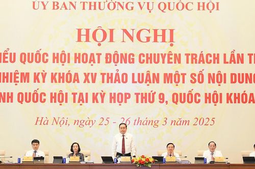Phát huy vai trò tiên phong của đại biểu