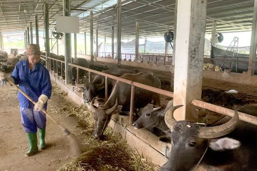 Agribank tạo sức bật cho doanh nghiệp nhỏ và vừa: Bài 1: Mở đường cho doanh nghiệp tăng trưởng