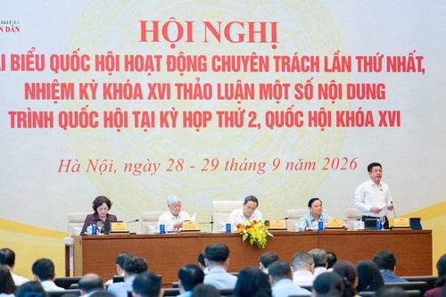 Phân loại rác phải đi cùng hạ tầng thu gom, xử lý