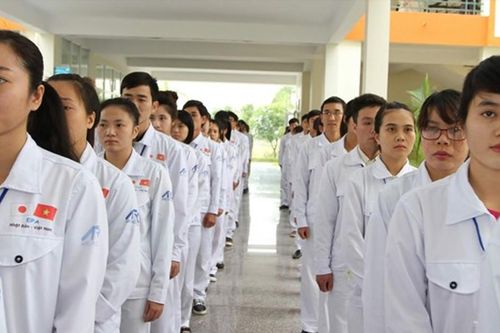 Lao động đi nước ngoài làm việc có trình độ ngày càng cao