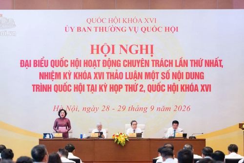 Sửa Luật Phát triển doanh nghiệp nhỏ và vừa: Tránh để doanh nghiệp chưa kịp có lãi đã hết ưu đãi