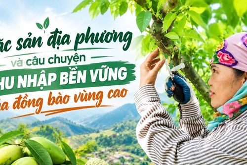 Đặc sản địa phương và câu chuyện thu nhập bền vững của đồng bào vùng cao