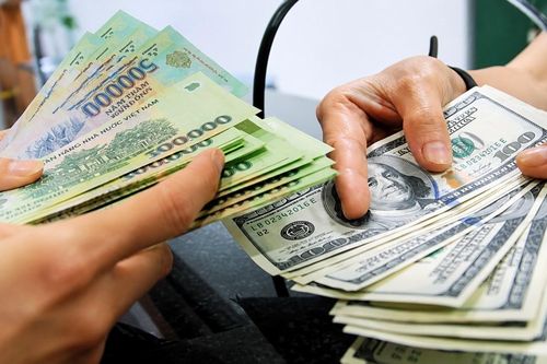 Rút ngắn thời gian xử lý đăng ký giao dịch ngoại tệ với Ngân hàng Nhà nước