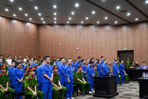 Xét xử ba cựu lãnh đạo Viện Pháp y tâm thần Trung ương trong vụ 'chạy' bệnh án tâm thần