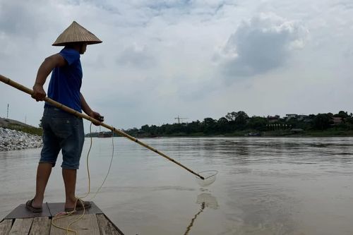 Bài 1: Dòng sông 'chết' dưới những mẻ kích điện