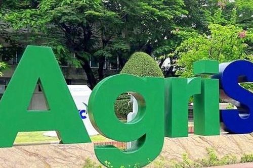Chủ tịch Đặng Huỳnh Ức My chi lớn gom 11 triệu cổ phiếu, AgriS (SBT) tái cấu trúc loạt công ty con