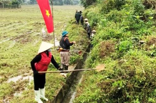 Hội Nông dân chung sức hiện thực hóa nông thôn mới