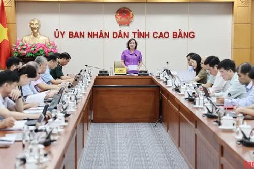 UBND tỉnh cho ý kiến về các dự thảo nghị quyết trình Kỳ họp thứ 7 (chuyên đề) HĐND tỉnh khóa XVIII