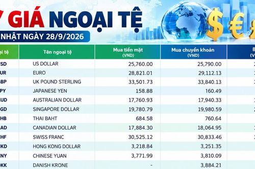 Tỷ giá ngoại tệ ngày 28/9: USD ở mức 26.170 đồng, SGD vượt 20.600 đồng
