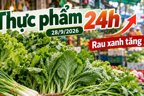 Thực phẩm 24h ngày 28/9: Rau xanh tăng theo mưa, cá đồng mùa lũ đắt thêm