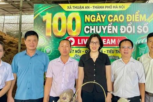 Từ phiên livestream đến xây dựng thương hiệu nông sản quê hương